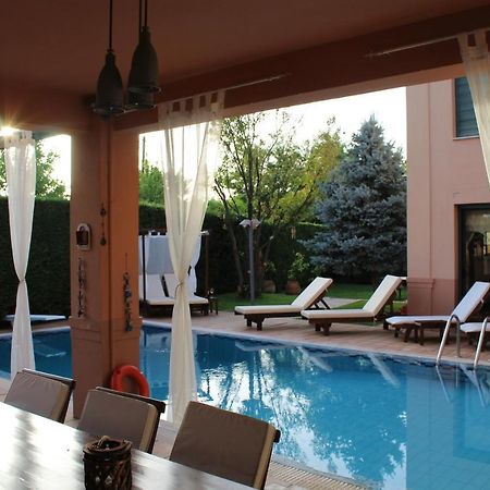 4-Seasons Pool Villa Near Meteora Tríkala Buitenkant foto
