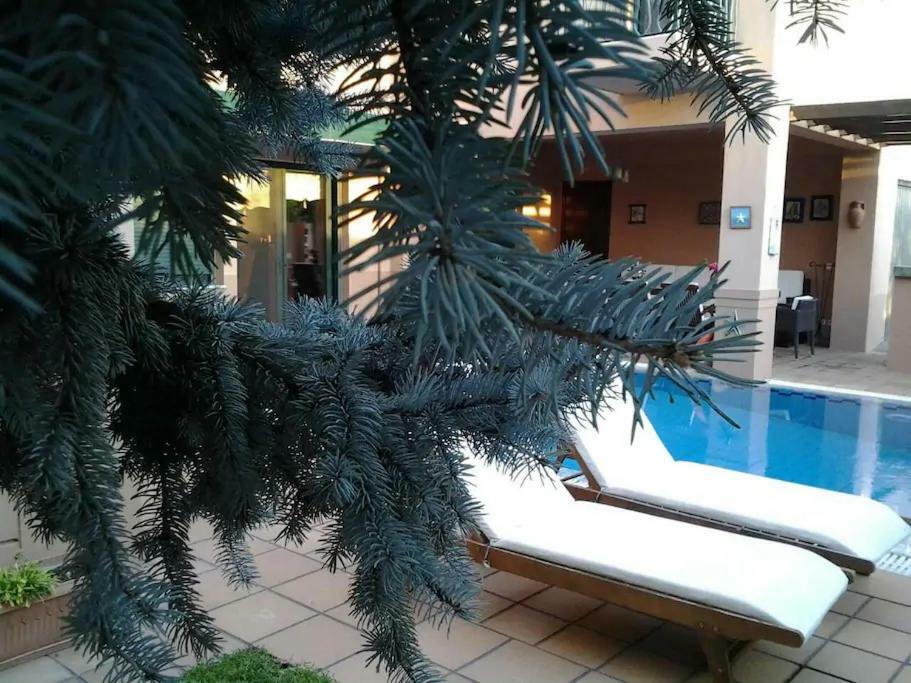 4-Seasons Pool Villa Near Meteora Tríkala Buitenkant foto